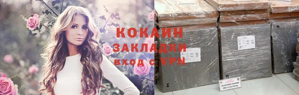 индика Волосово