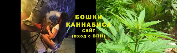 индика Волосово