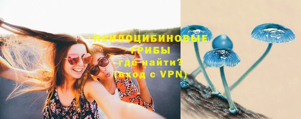 индика Волосово