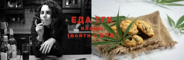 индика Волосово