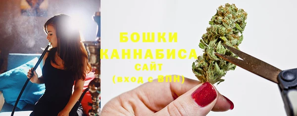 индика Волосово