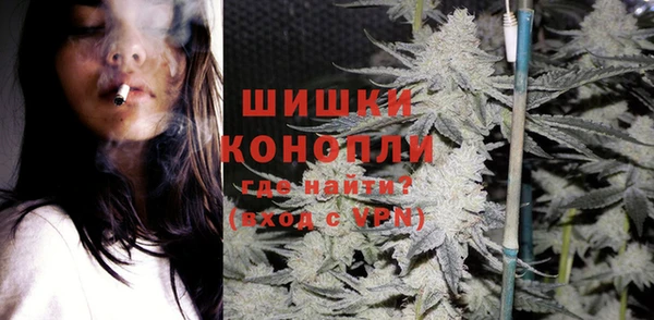 индика Волосово