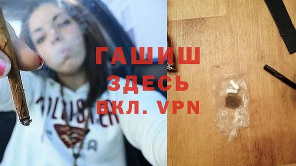 индика Волосово