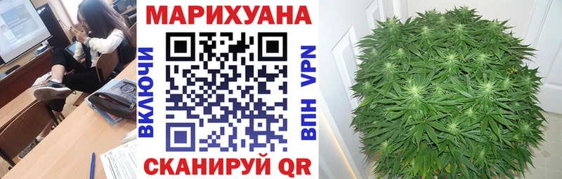 Марихуана план  закладки  маркетплейс Telegram  Красногорск 